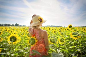 woman, sunflowers, nature, flower background, field, summer, blossom, beautiful flowers, bloom, flowers, beauty, female, girl, outdoors, leisure, flower wallpaper, travel, season