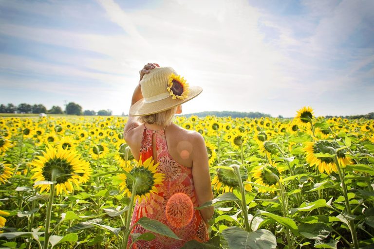 woman, sunflowers, nature, flower background, field, summer, blossom, beautiful flowers, bloom, flowers, beauty, female, girl, outdoors, leisure, flower wallpaper, travel, season